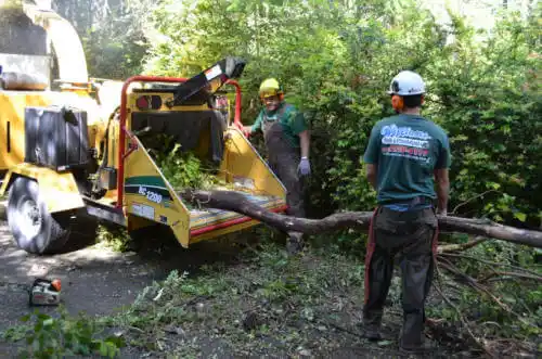 tree services Prattville